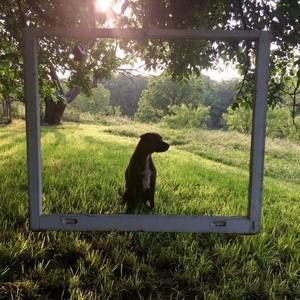 Meet your Posher, Kaci